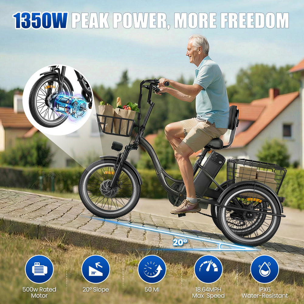 Flycity Electric Tricycle for Adults, 20” Folding Electric Trike,3 Wheels Electric Scooter Bicycle, Peak 1200W Electric Trike with 48V 20AH Removable Battery and Large Basket