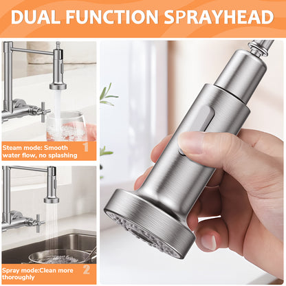 KINGTACK Wall Mount Kitchen Faucet,8 inch Commercial Sink Faucet with Sprayer, Dual Handles Utility Sink Faucet for Kitchen Laundry Restaurant,Stainless Steel