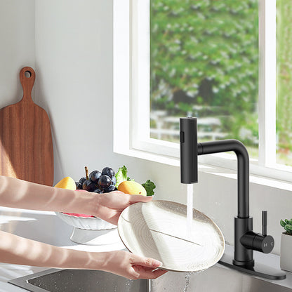 KINGTACK Kitchen Faucet, Matte Black Kitchen Faucet with Pull Down Sprayer for 4 Function, Black